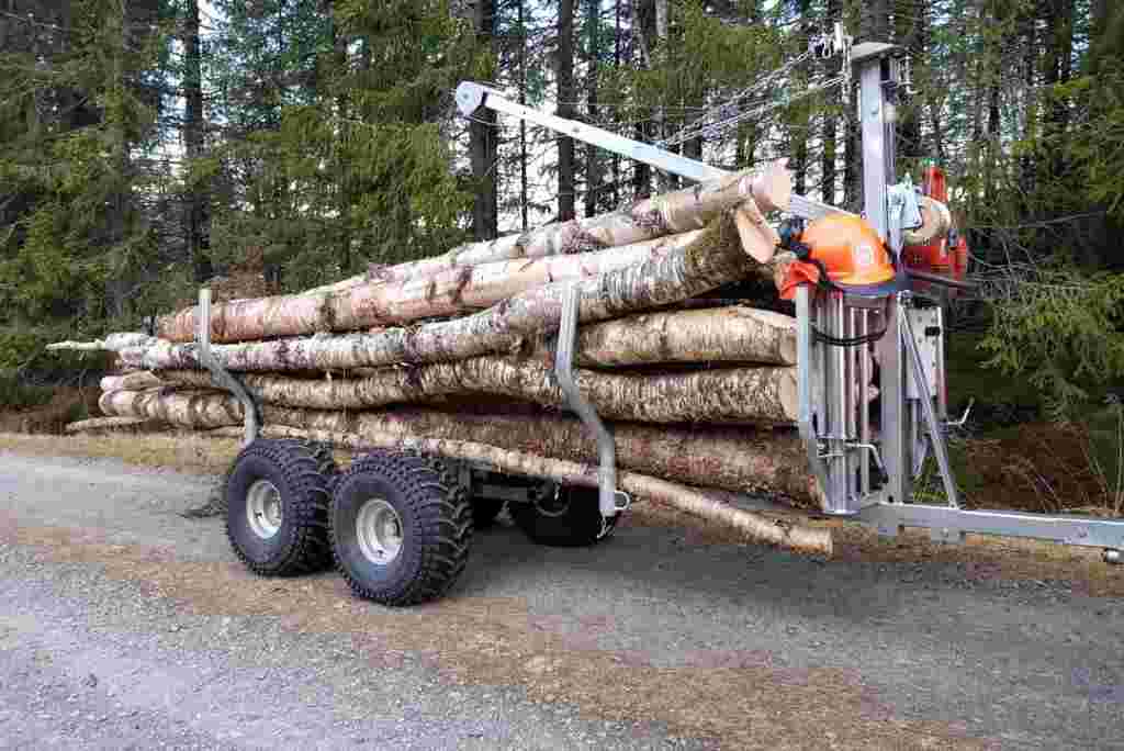 A Basic Guide To Learn About The Low-Impact Logging